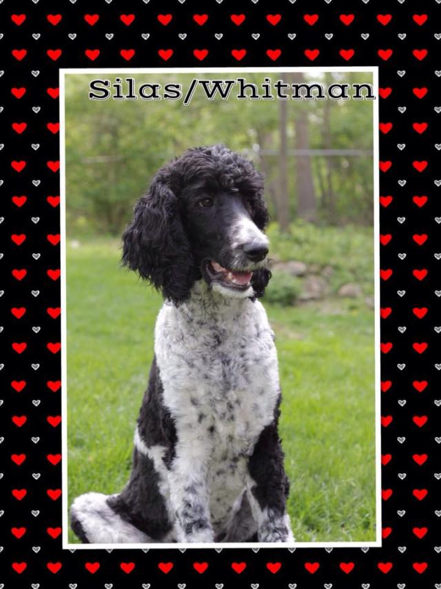 1496612_10152419213128493_1634605937482340435_n