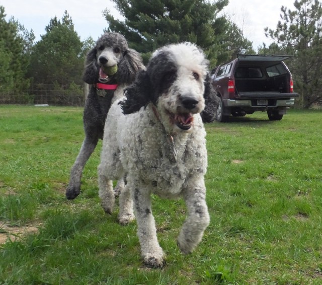 Happy Birthday Patti Sue