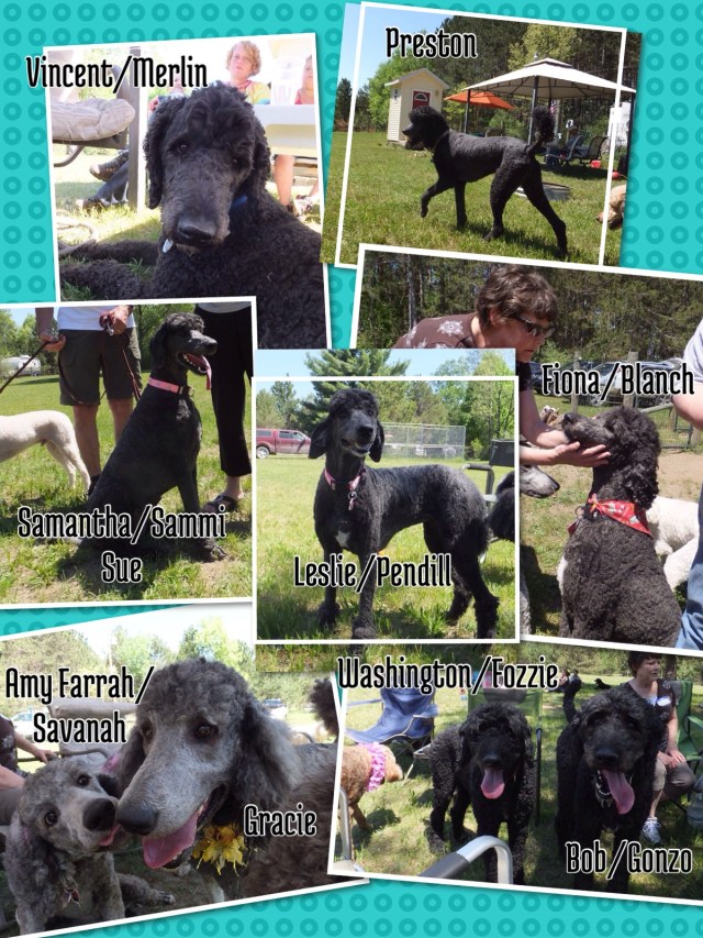 Ruben's BEAUTIFUL BABIES!