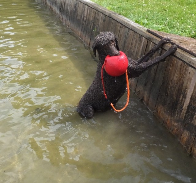 Can you give me a hand here?