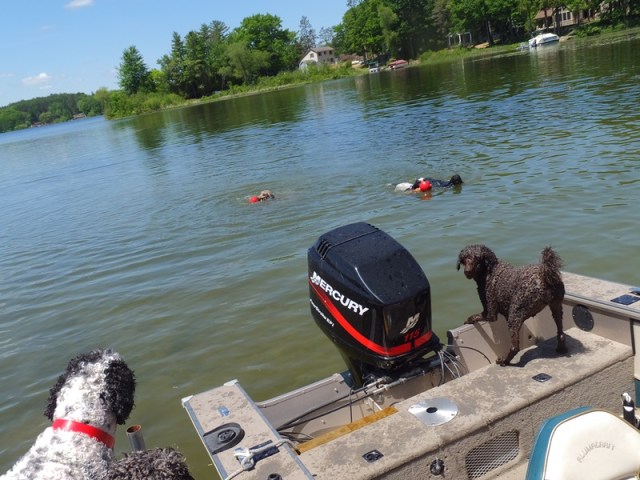 Parris: Should I jump??