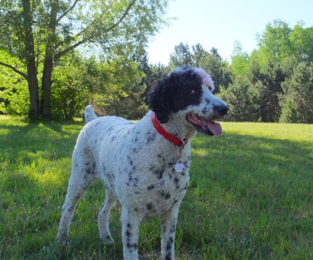 Patti Sue nine years old