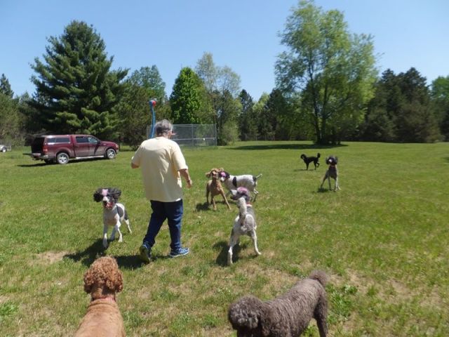 Playing ball with Pat