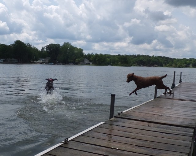 Reba plays without her brace