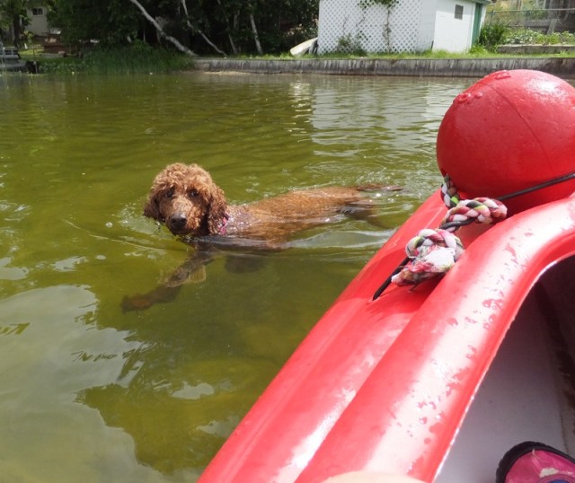 HOW does she expect me to get the ball UP THERE?