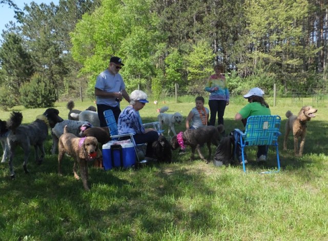 reunionS14-merlin5 (2)