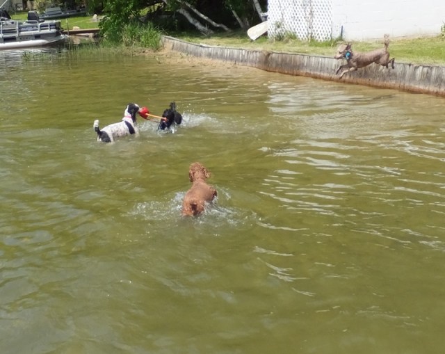 Rosalie: I'll help you RENE!