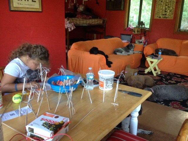 Fimo and paper mache poodles!