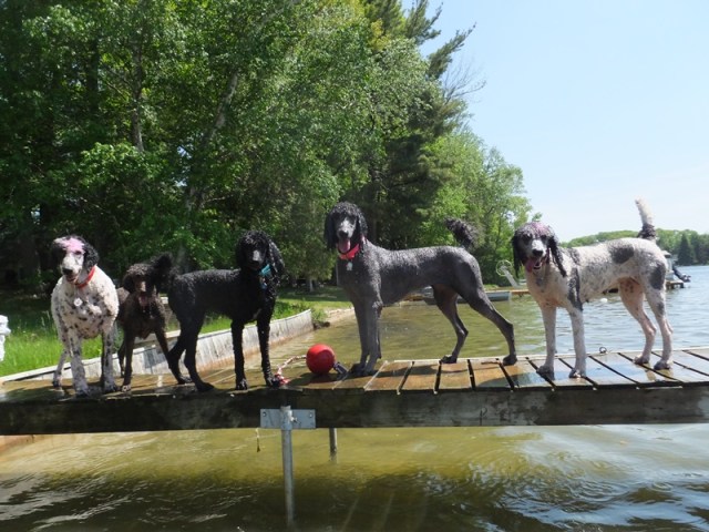 Put that camera down and throw the ball!