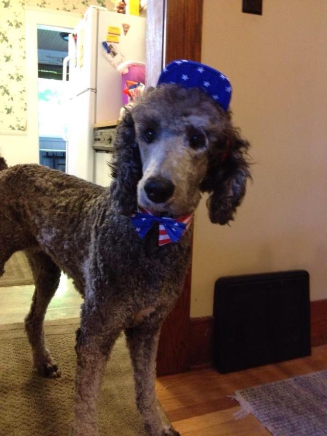 No, it's not Gracie!