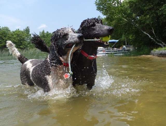 dottiegrace6-30-14-1