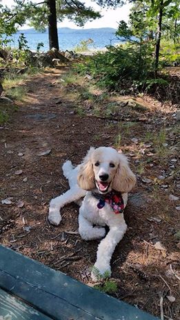Patty/Ivy loves camping!