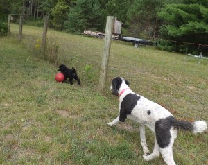 Nicki is taking this well!