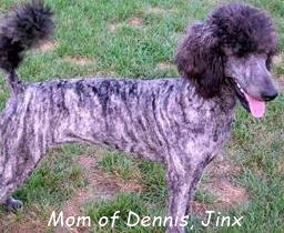 Jinx. Mother of Dennis :D