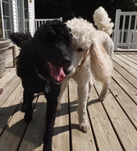 New babies October 6, 2014