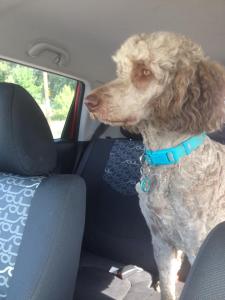 On our way to Lansing!