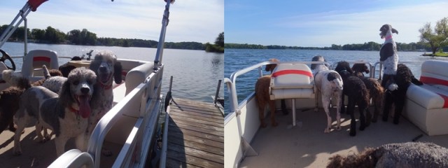 Pontoon ride!