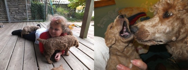 Two years goes FAST!