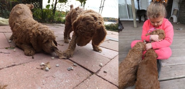 Dancing with the stars babies turn TWO!!