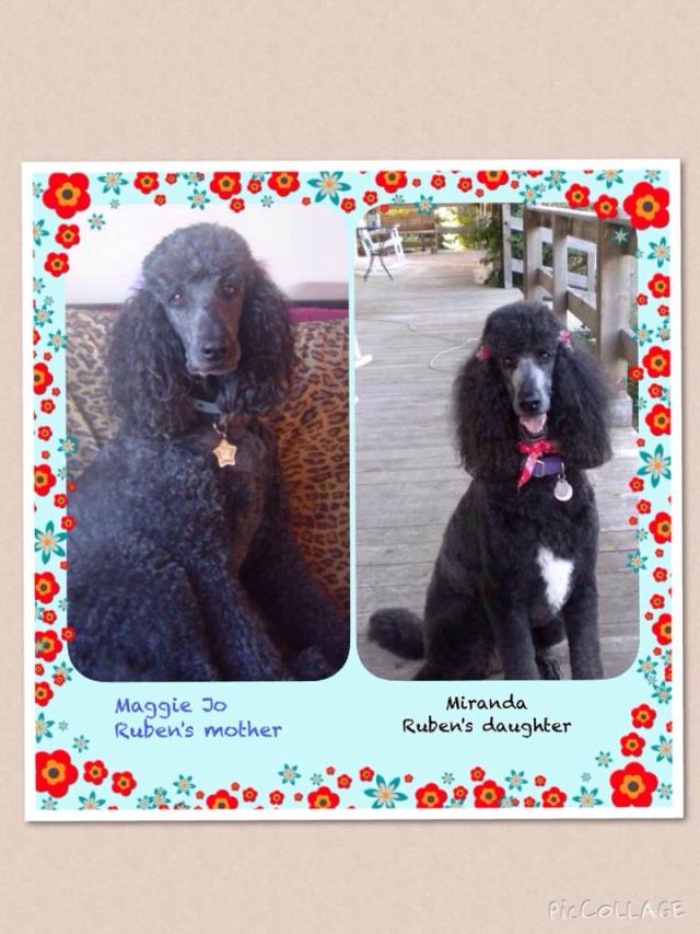 Ruben's mother and daughter