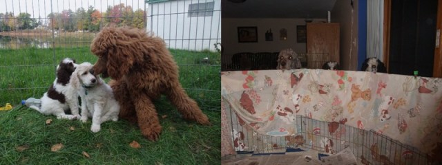 Baby Poppy and WE WANT TO SEE