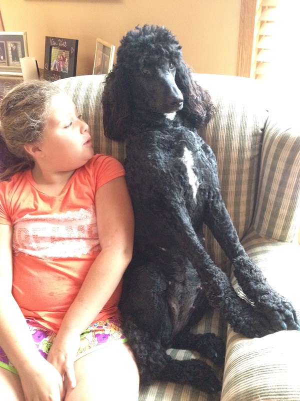 First signs of babies