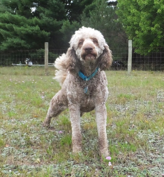 Love her expression!!