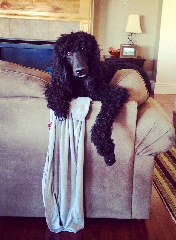 Patti Sue and Ruben's baby