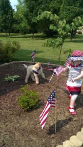 This pin wheel looks fun🇺🇸