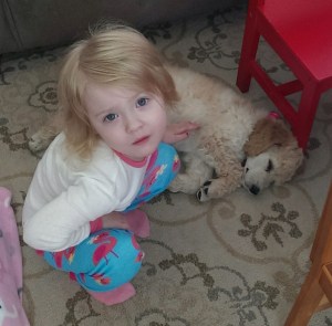 Sugar/Rolo and her little human