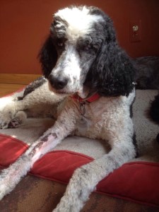 Poor Nicki, seven teeth pulled