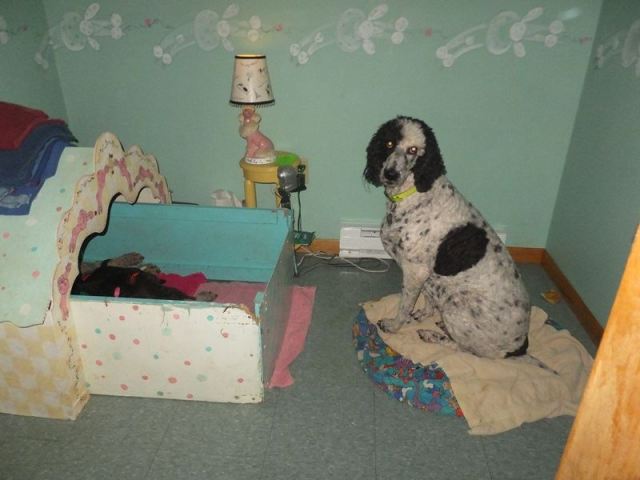 12189815_10153749703753493_2285233926488628324_n